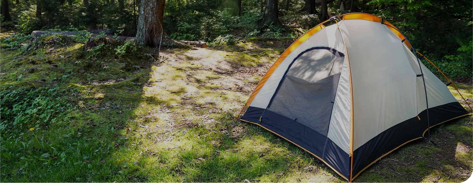 Camping Tent